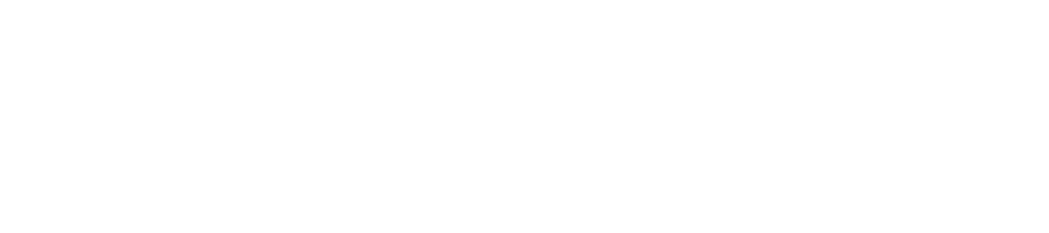 Enerfuel